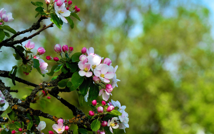 Szombatig meleg, tavaszias idő várható, vasárnap hidegfront hoz lehűlést