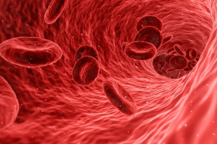 Először találtak emberi vérben műanyag mikroszemcséket