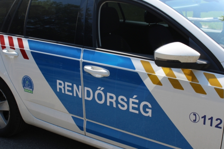 Mankóval ütött és egy vipera is előkerült