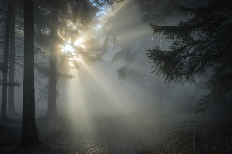 Átfogó fejlesztések a Duna-Dráva Nemzeti Parkban