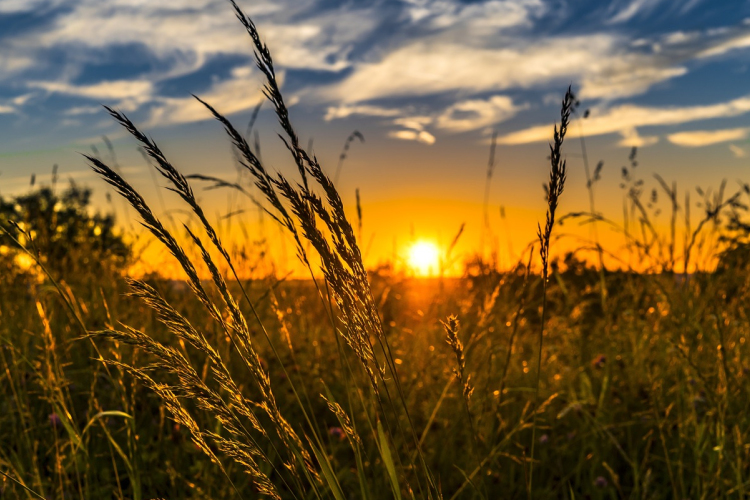 Zömében napos és egyre melegebb idő várható a héten