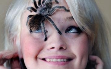 Pókimádó lett egy pókiszonyos nő