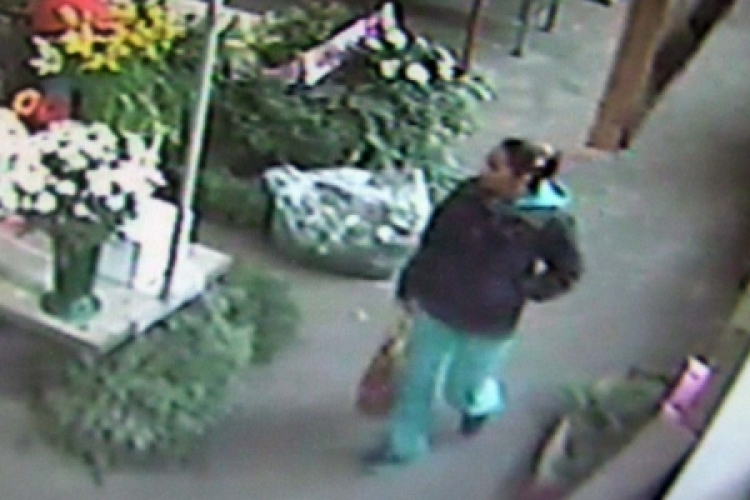 Pénztárcát lopott